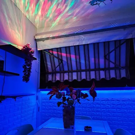 Mago Zurli' * ボローニャ