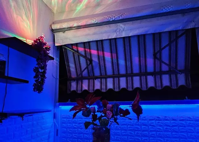 Mago Zurli' * Boloňa